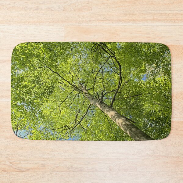 Item preview, Spring beech tree canopy designed and sold by xophotography.