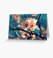 Blue Sky and Spring Blossoms Greeting Card