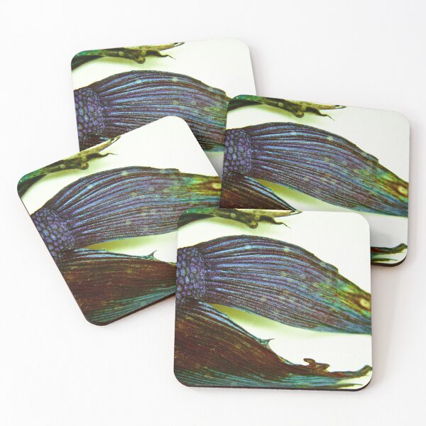 Item preview, Dead Fish designed and sold by Jean Beaudoin.