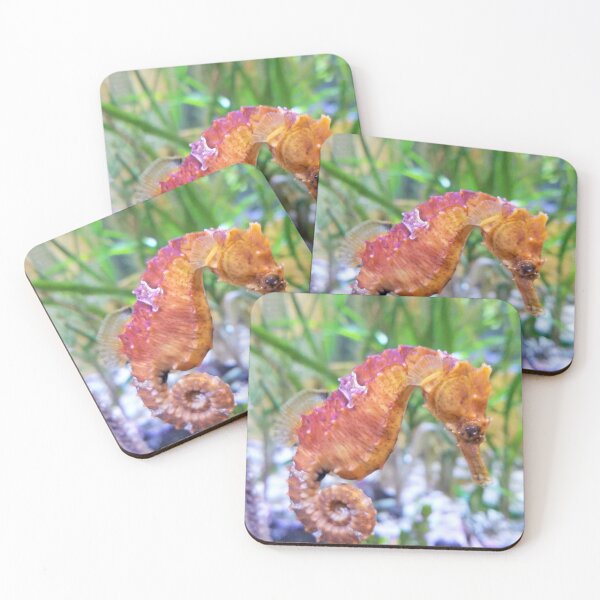 Item preview, Spiral and seahorse designed and sold by ChatStroh.