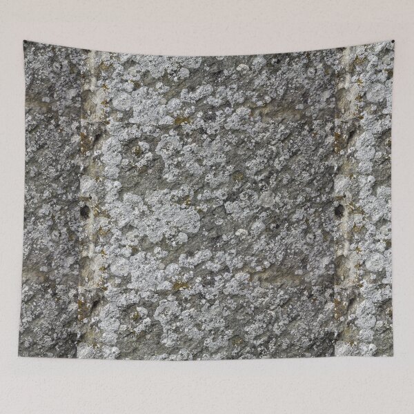 Item preview, Lichen texture designed and sold by pinkal.