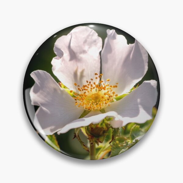 Item preview, wild Dog Rose designed and sold by JEZ22.