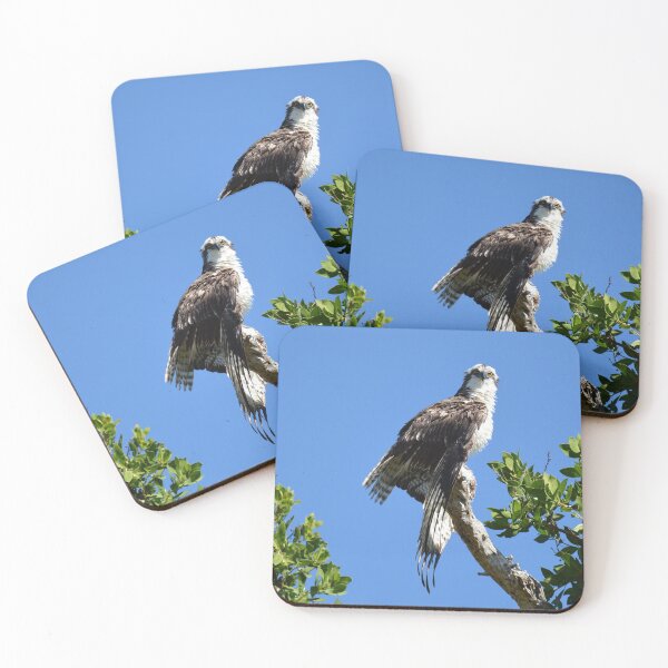 Item preview, Are you looking at me!?! designed and sold by ChatStroh.
