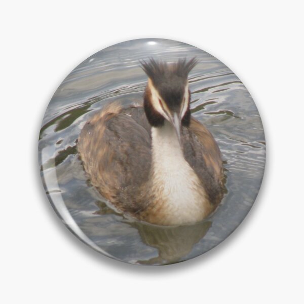 Item preview, Great Crested Grebe Photograph designed and sold by naturegallery.