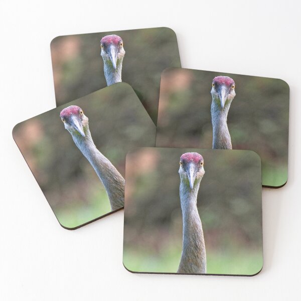 Item preview, Sandhill Crane Portrait designed and sold by StevenRalserPhoto.