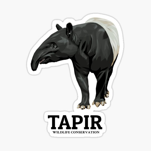 Vista previa del artículo con la obra «Conservación del Tapir», diseñado y vendido por KewaleeTee.