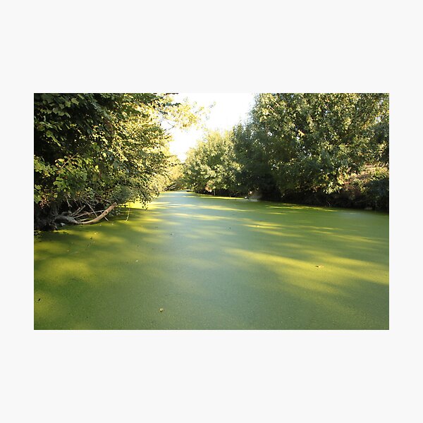 Le Marais Poitevin - Maillezais Photographic Print