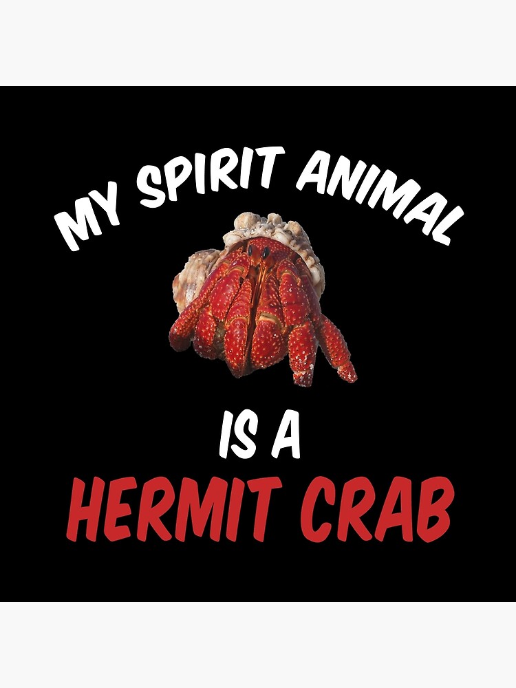 My Spirit Animal Is A Hermit Crab My Spirit Animal Is A Hermit Crab