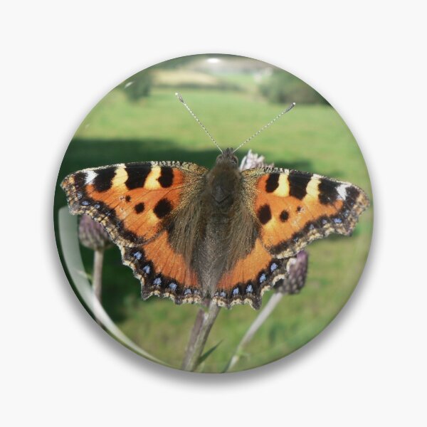 Item preview, Small Tortoiseshell, Aglais urticae designed and sold by EmilyJaneArt.