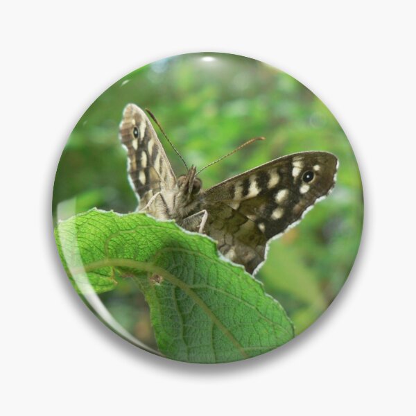 Item preview, "Peek-a-Boo!" Speckled Wood Butterfly, Pararge aegeria designed and sold by EmilyJaneArt.