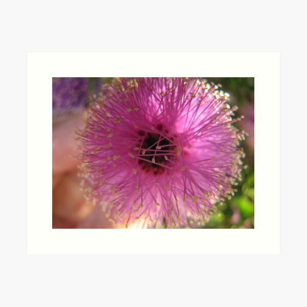 Item preview, Puffball designed and sold by lymbis.