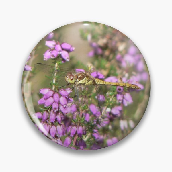 Item preview, Common Darter Dragonfly In Amongst The Heather designed and sold by EmilyJaneArt.