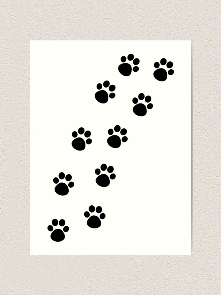 paw tracker for cats