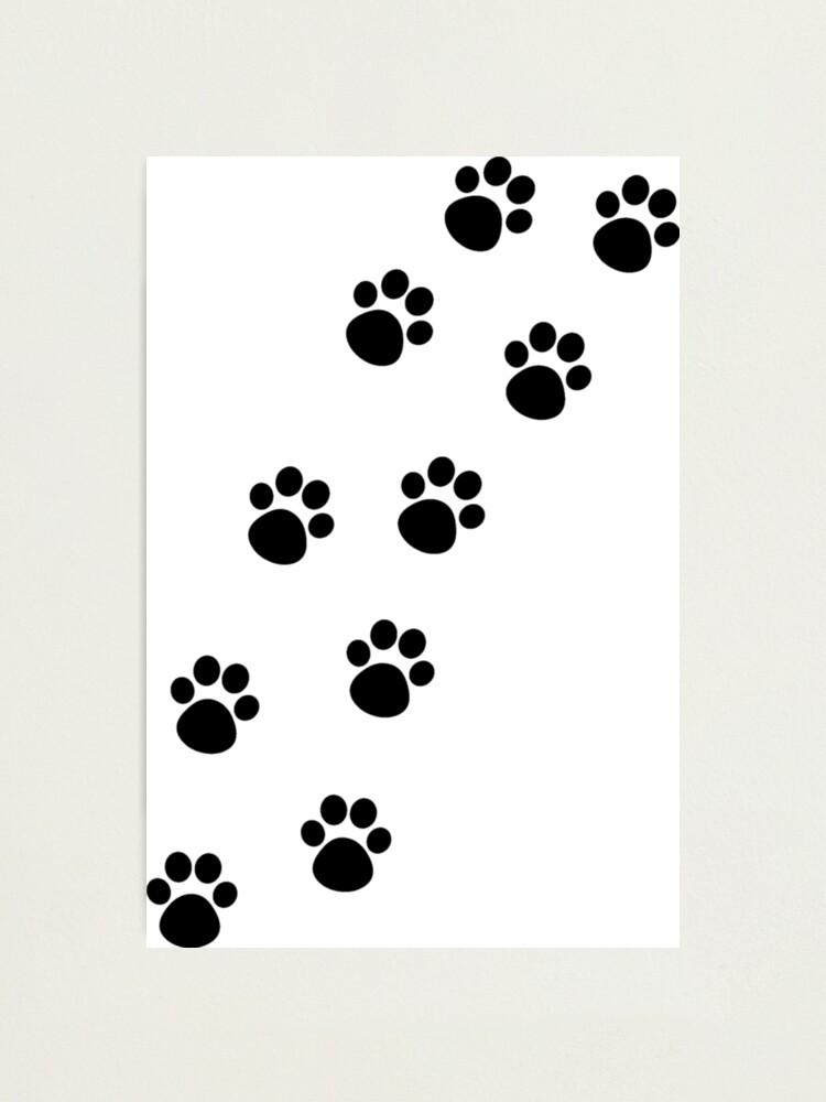 paw tracker for cats