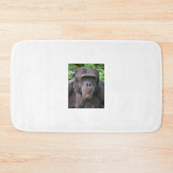 Item preview, Old Chimp Portrait designed and sold by Chris Thaxter.