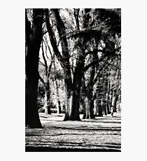 Run . . . Photographic Print