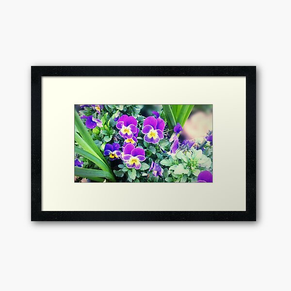 Shot Framed Art Print