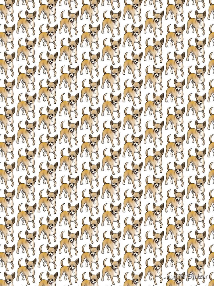 Chihuahua - Fawn by jameson9101322