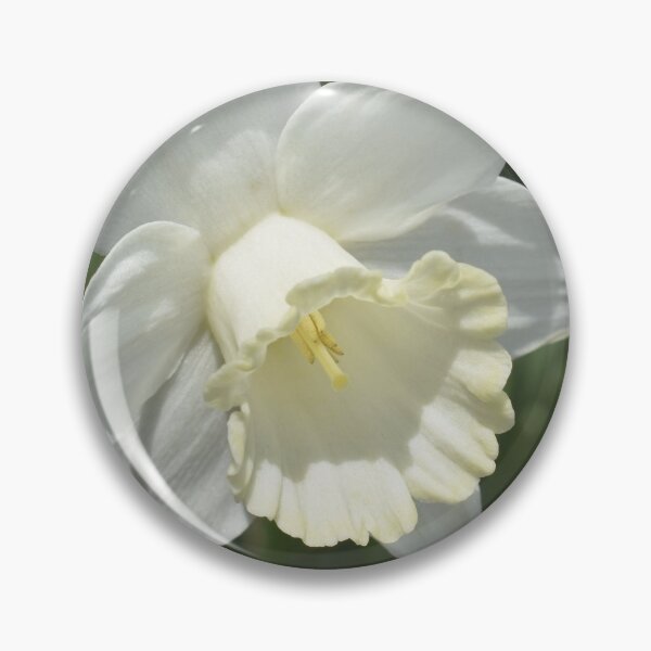 Item preview, White Daffodil Sympathy Card designed and sold by Kathleen Brant.