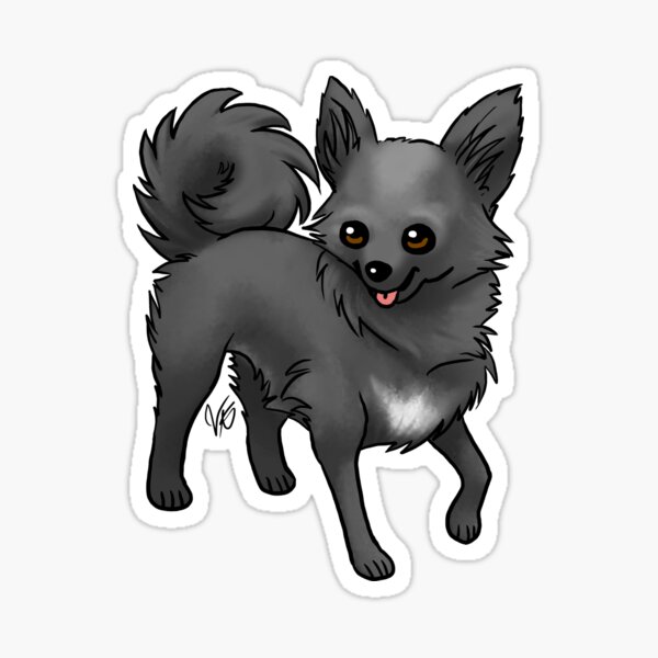 Long-haired Chihuahua - Black Sticker