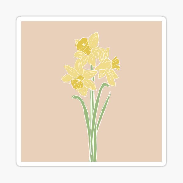 Daffodil March Birth Flower in Pink Sticker