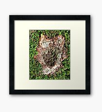 who who Framed Print