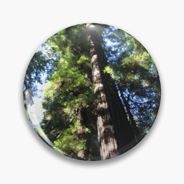 Item preview, Magical redwood trees designed and sold by Jelisandie.