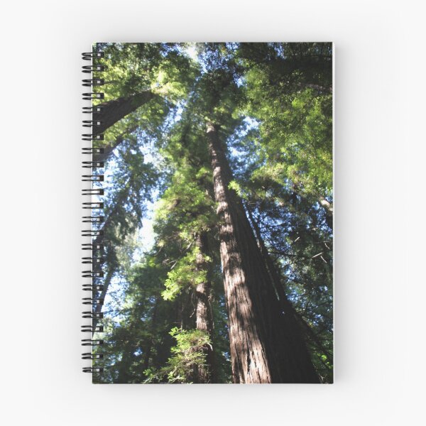 Item preview, Magical redwood trees designed and sold by Jelisandie.
