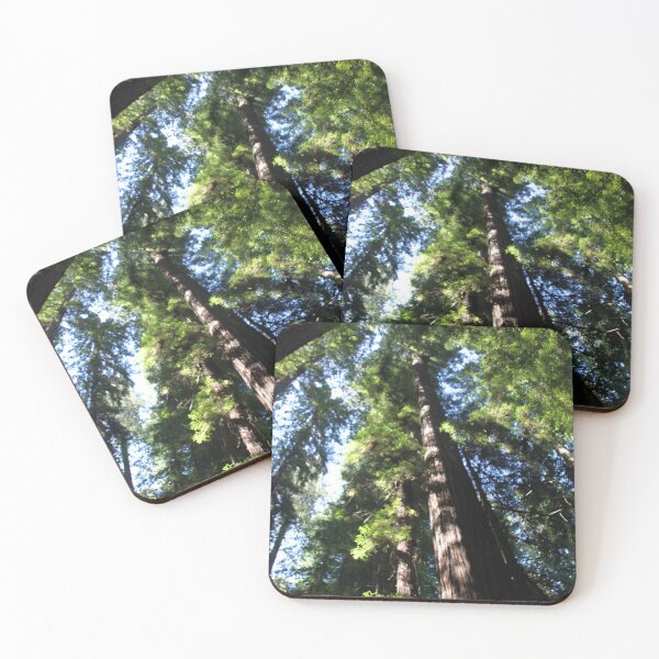 Item preview, Magical redwood trees designed and sold by Jelisandie.