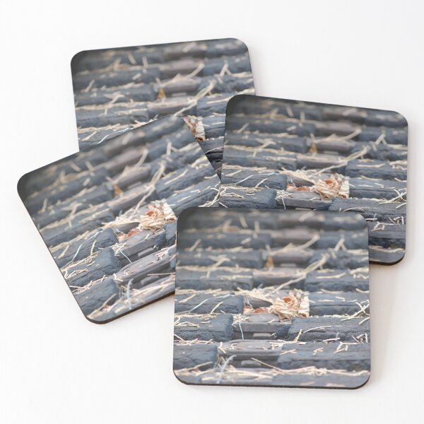Item preview, Tracks designed and sold by Tamara McDonnell.
