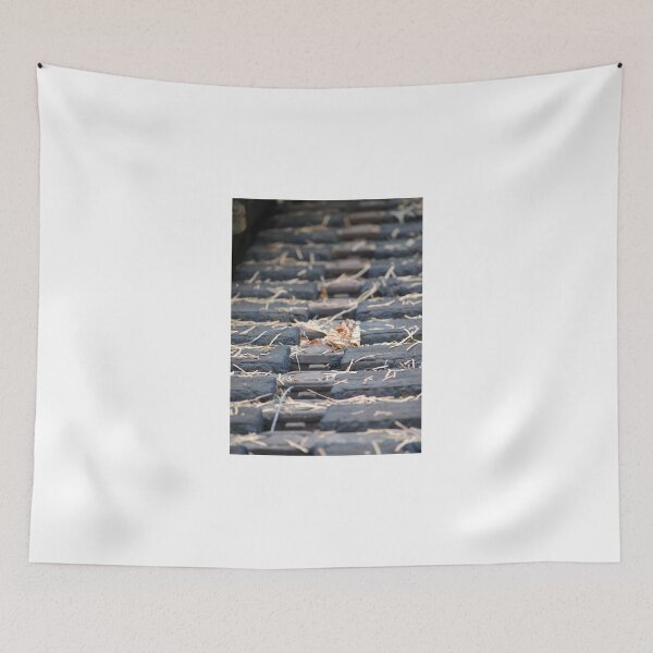 Item preview, Tracks designed and sold by Tamara McDonnell.