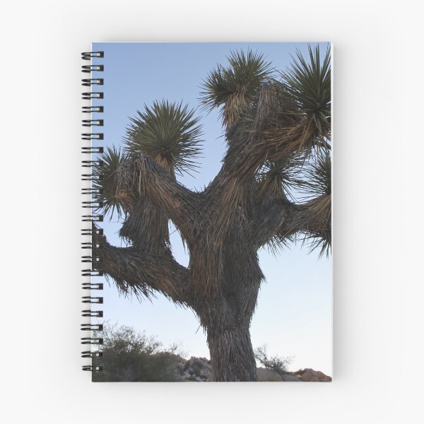 Item preview,  USA - a photograph designed and sold by Jelisandie.