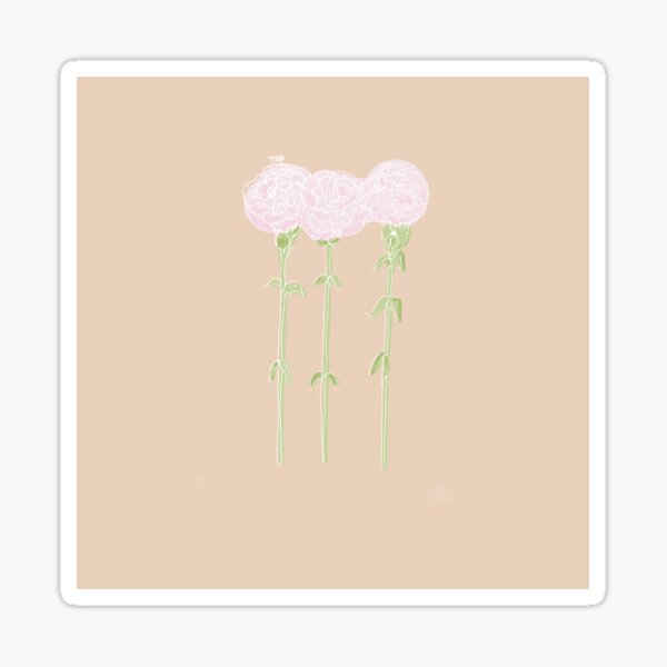 Carnation January Birth Flower in Pink Sticker