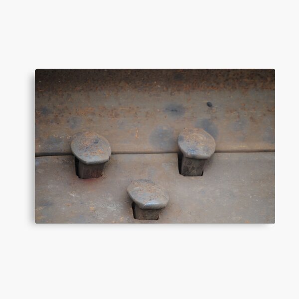 Aperçu de l'œuvre Rusted Spikes créée et vendue par Tamara McDonnell.