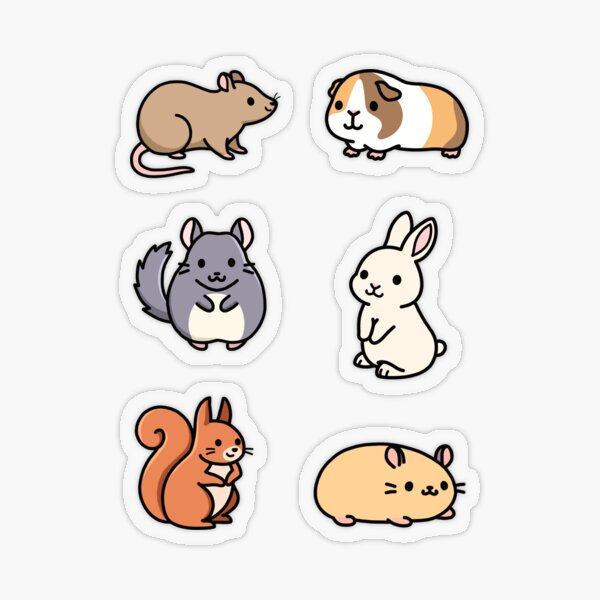 Cute Animal Sticker Pack 4 Sticker for Sale by littlemandyart  Cute easy  drawings, Cute cartoon drawings, Cute little drawings