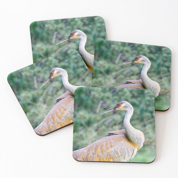 Item preview, Sandhill Crane5 designed and sold by StevenRalserPhoto.