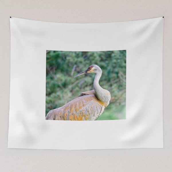 Item preview, Sandhill Crane5 designed and sold by StevenRalserPhoto.