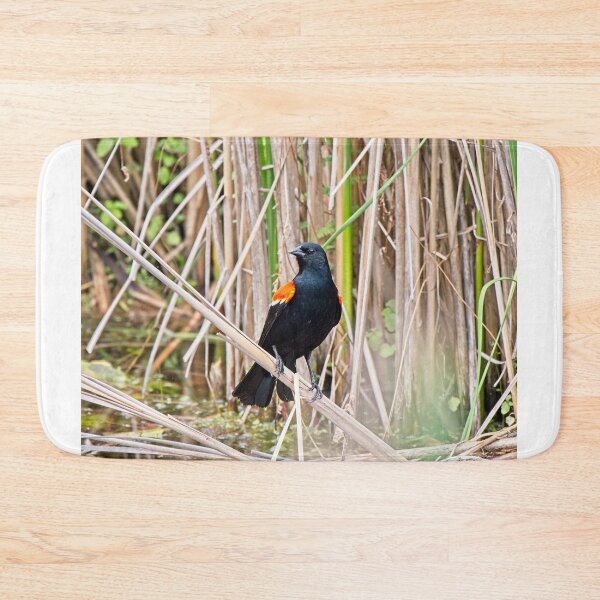 Item preview, Red-winged blackbird 2, UW Arboretum, Madison, WI designed and sold by StevenRalserPhoto.