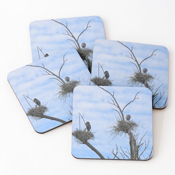Item preview, Herons on Nests 2 - UW Arboretum, Madison, WI designed and sold by StevenRalserPhoto.