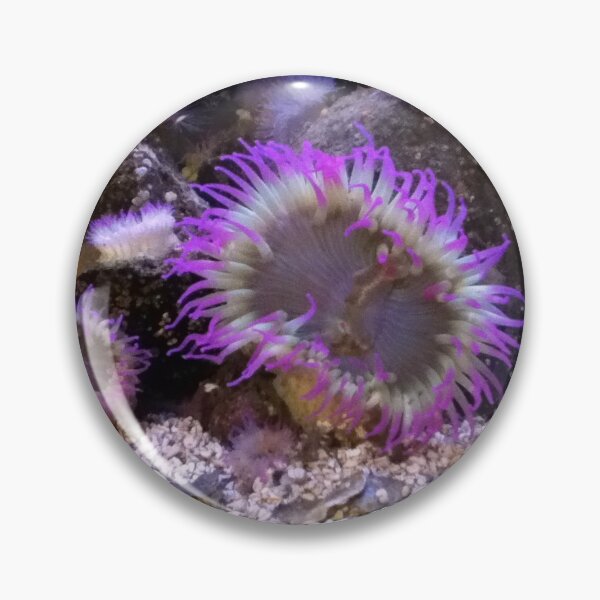 Item preview, Sealife designed and sold by Tamara McDonnell.