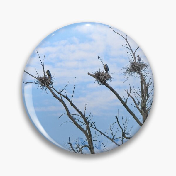 Item preview, Herons on Nests 1 - UW Arboretum, Madison, WI designed and sold by StevenRalserPhoto.