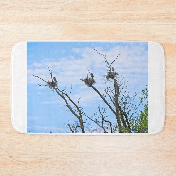 Item preview, Herons on Nests 1 - UW Arboretum, Madison, WI designed and sold by StevenRalserPhoto.