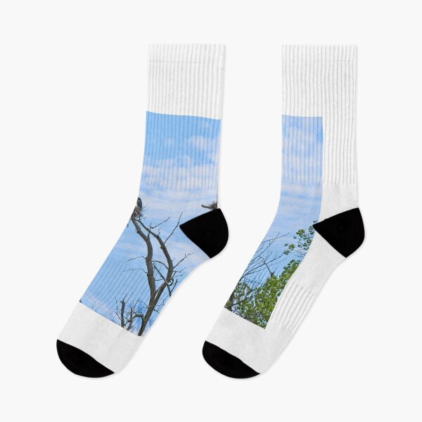 Item preview, Herons on Nests 1 - UW Arboretum, Madison, WI designed and sold by StevenRalserPhoto.