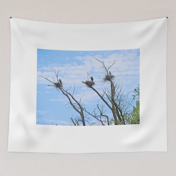Item preview, Herons on Nests 1 - UW Arboretum, Madison, WI designed and sold by StevenRalserPhoto.