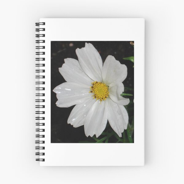 Item preview, Innocence designed and sold by Tamara McDonnell.