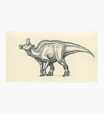 Lambeosaurus lambei Photographic Print