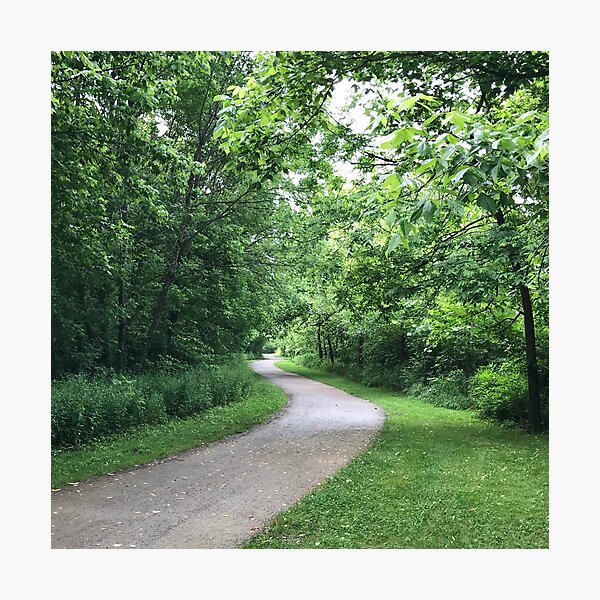 Walk in the Park, Feng Shui Fix for Life Area 1 Missing (Career) Photographic Print