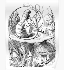 Cannabis and magic mushrooms in wonderland Poster