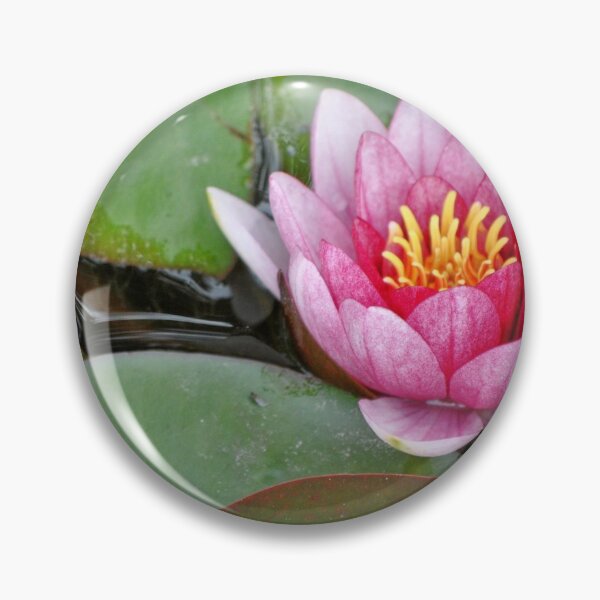 Item preview, Pink Waterlily on Lilypads designed and sold by Tamara McDonnell.