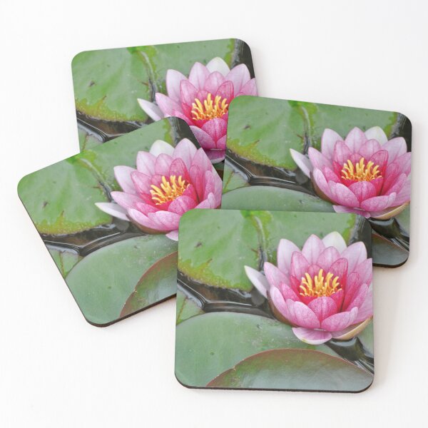 Item preview, Pink Waterlily on Lilypads designed and sold by Tamara McDonnell.